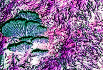 N 096A